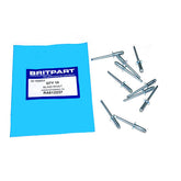 BLIND RIVET - OEM - RA612237